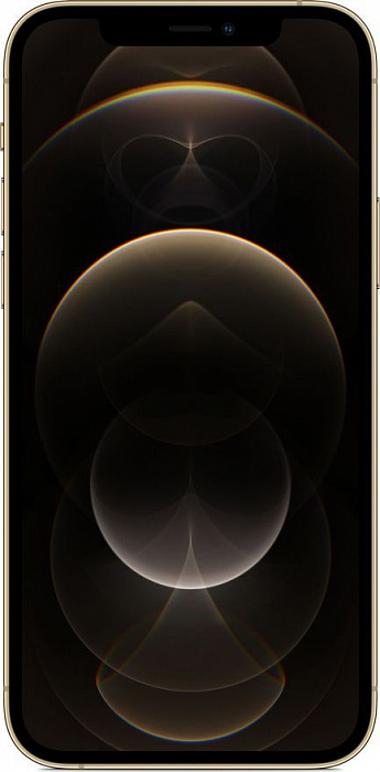 Смартфон Apple iPhone 12 Pro Max 256GB (золото)